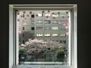 窓辺シリーズ「桜」
