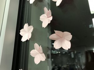 窓辺シリーズ「桜」