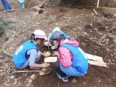 木に穴を開けよう！