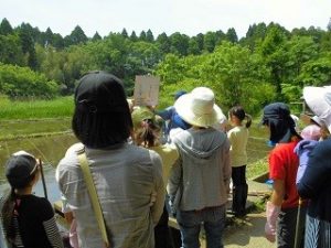 米づくり体験クラブ