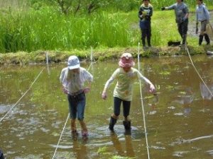 米づくり体験クラブ