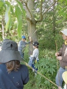 米づくり体験クラブ