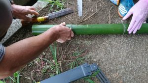 米作り体験クラブ