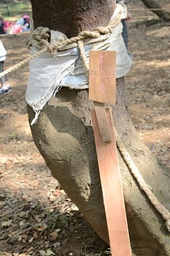 秋の遠足「子どもたちの森公園」