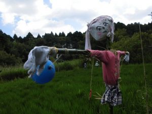 米作り体験クラブ