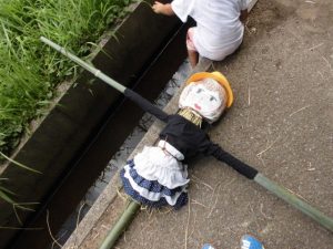 米作り体験クラブ