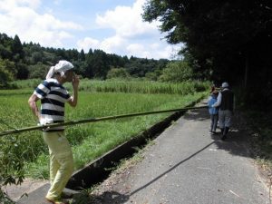 米作り体験クラブ