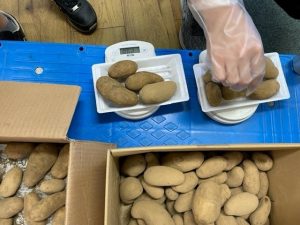 ジャガイモ300gチャレンジ