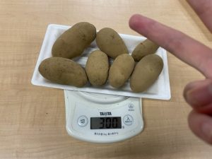 ジャガイモ300gチャレンジ