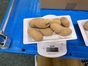 ジャガイモ300gチャレンジ