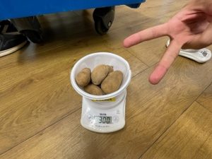 ジャガイモ300gチャレンジ