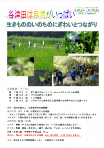 谷津田の自然体験チラシ
