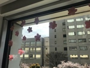 窓辺シリーズ「桜」