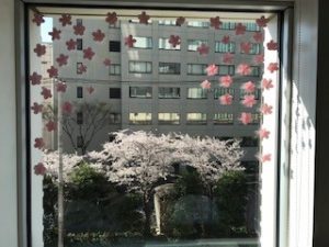 窓辺シリーズ「桜」