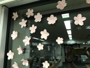 窓辺シリーズ「桜」