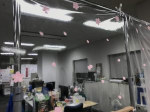 窓辺シリーズ「桜」