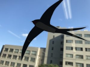 窓辺シリーズ「シロツメクサとツバメ」