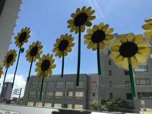 2021.07窓辺シリーズ　ひまわり　画像