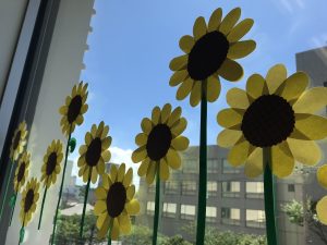 2021.07窓辺シリーズ　ひまわり　画像
