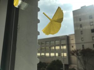 2021.11.窓辺の紅葉装飾