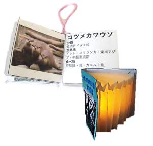 8月パソコン講座　図鑑の豆本　ランプシェード