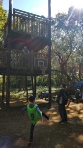 秋のえんそく「子どもたちの森公園へ行こう！」