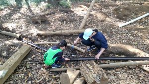 秋のえんそく「子どもたちの森公園へ行こう！」