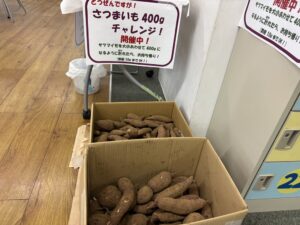 さつまいも400gチャレンジ